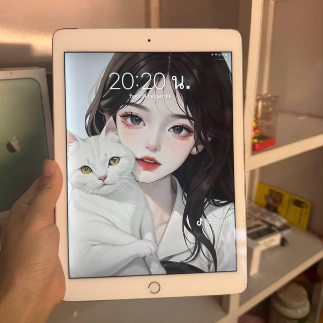 iPad Air 2/64GB